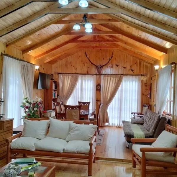 Hospedaje y Cabañas Ensenada Puerto Varas, hotel in Ensenada