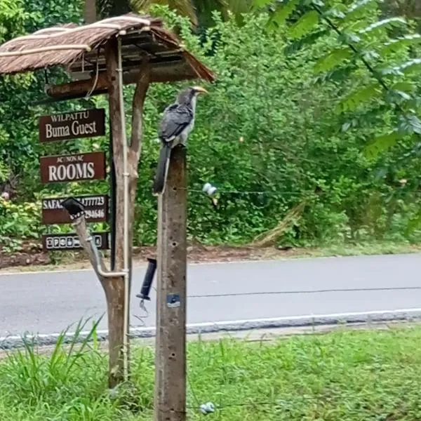 Wilpattu Buma Lodge, hotel v destinaci Pahala Maragahawewa