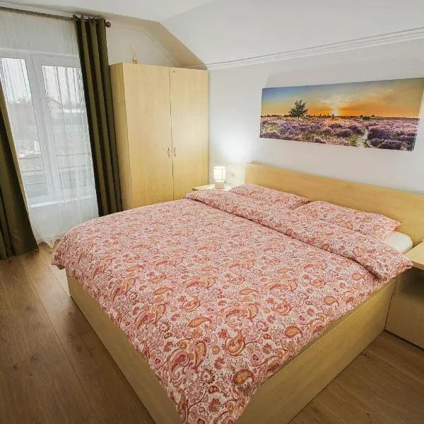 Apartament Domina-RO,EN,FR-Clasificare 3 stele, Ministerul Turismului – hotel w mieście Sînnicolau Mare