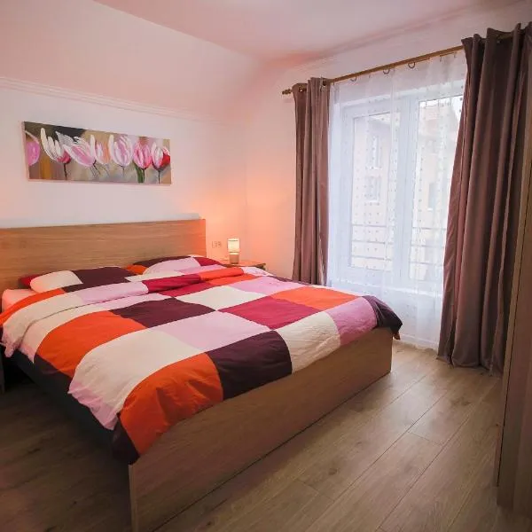 Apartament Domina - self check in - RO,EN,FR - 3stele, Ministerul Turismului, hotel sa Sînnicolau Mare