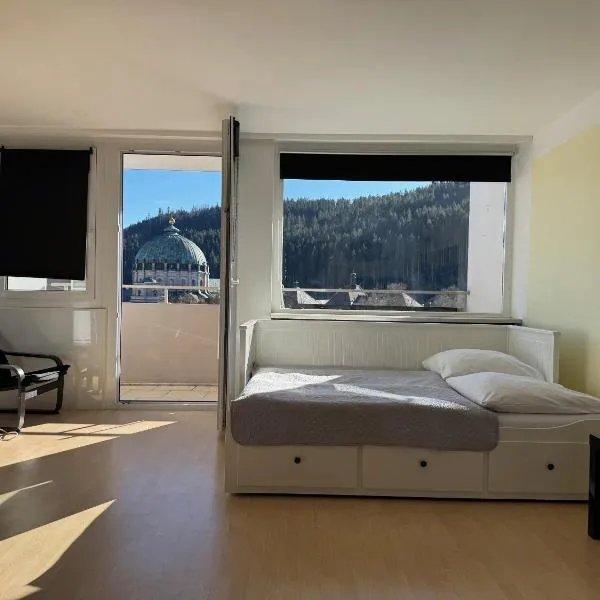 Domview Apartment, hotel in St. Blasien