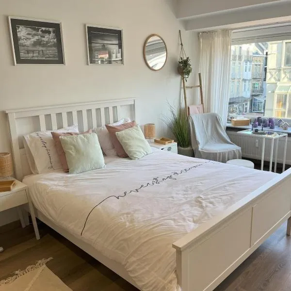 Sea Escape comfortable studio 50m from the beach, hotel v destinaci Middelkerke