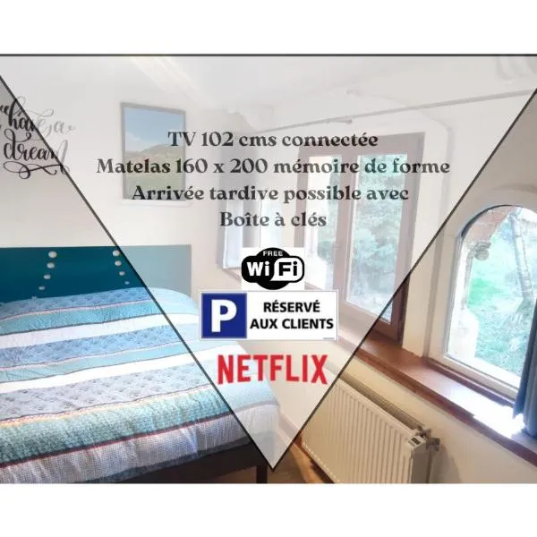 Studio 24m2 cosy classé, lit Queen Size, Netflix, wifi, 400m centre, parking, boîte à clés, Gîtes La Tarine, hotel in Albertville