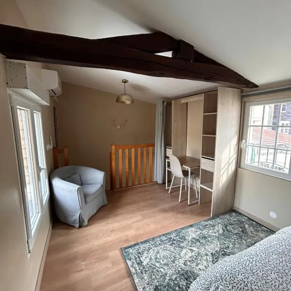 Appartement F1 duplex Hyper centre, hotel v destinaci Saint-Dizier