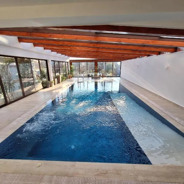 TREND - cazare, gradina, piscina, hotel en Arad