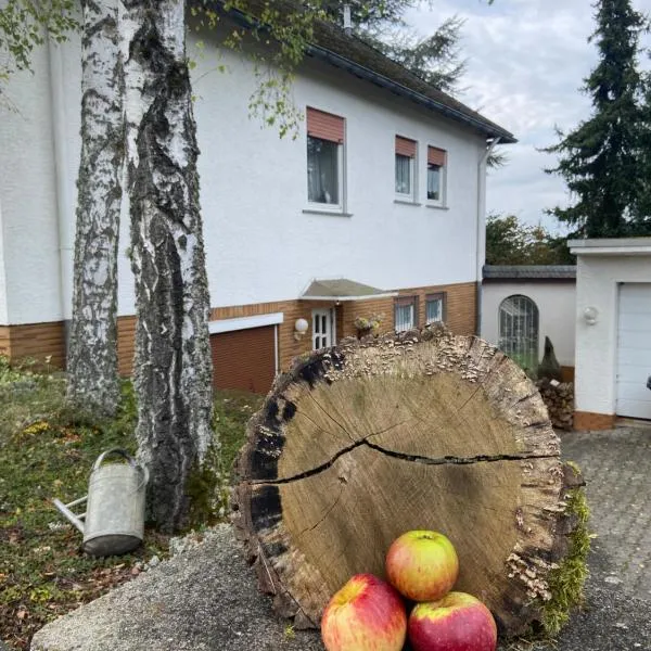 Land-Haus Sonnenhang, hotel in Lorch am Rhein