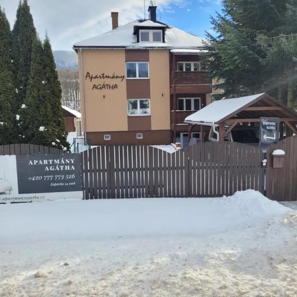 Apartmany Agatha, hotel a Loučná nad Desnou