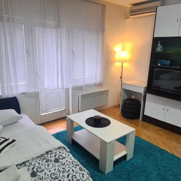 Vista Studio Apartment, hotel din Brčko