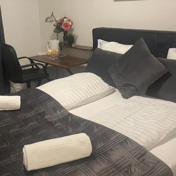 Hotel Hecht, hotell Zürichis