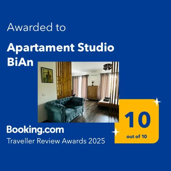 Apartament Studio BiAn、ティミショアラのホテル
