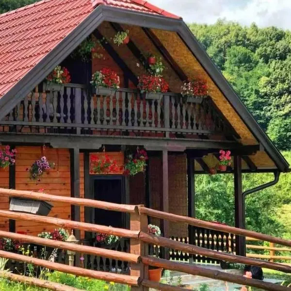 Brvnara Sofiana, hotel in Bajina Bašta