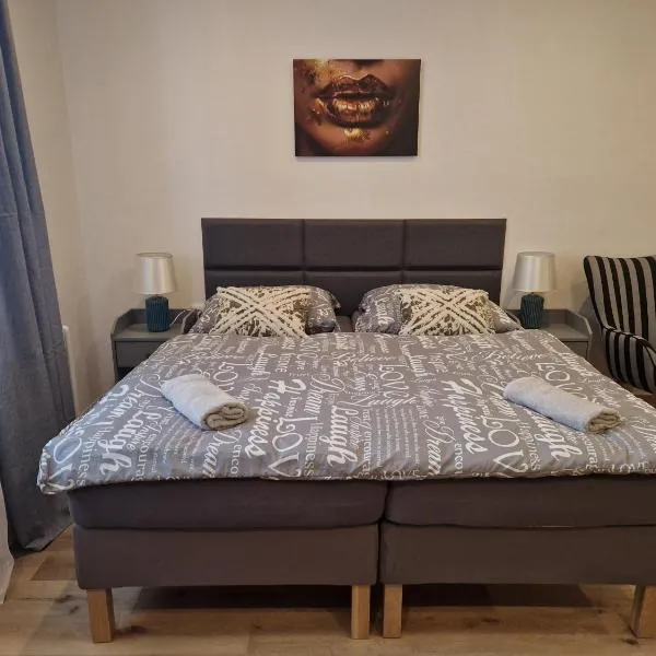 Černá Růže- apartmán 2, hotel v Plzni