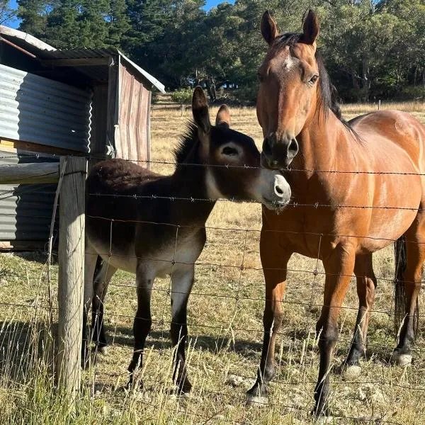 Little creek farm stay, хотел в Norton Summit