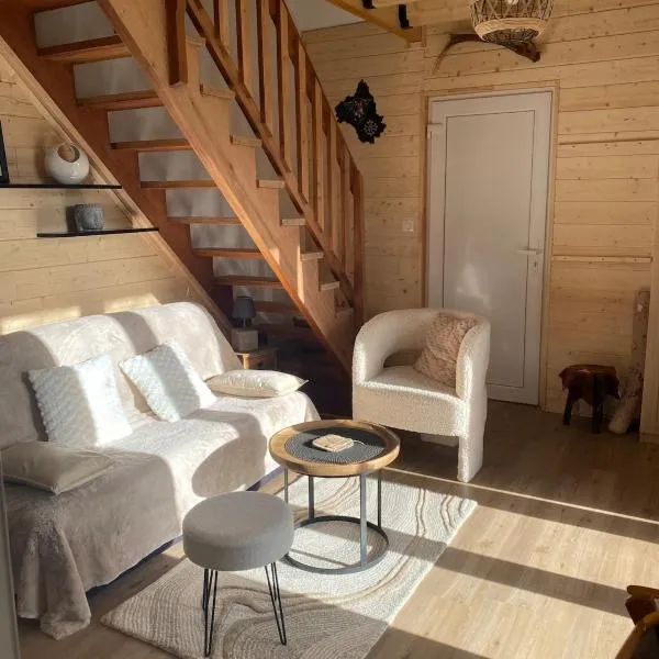 Chalet chaleureux et fonctionnel – hotel w mieście Laguiole