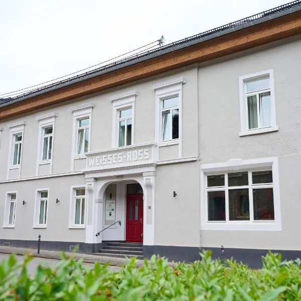 Winzerhof Ross & Rose, hotel in Trechtingshausen