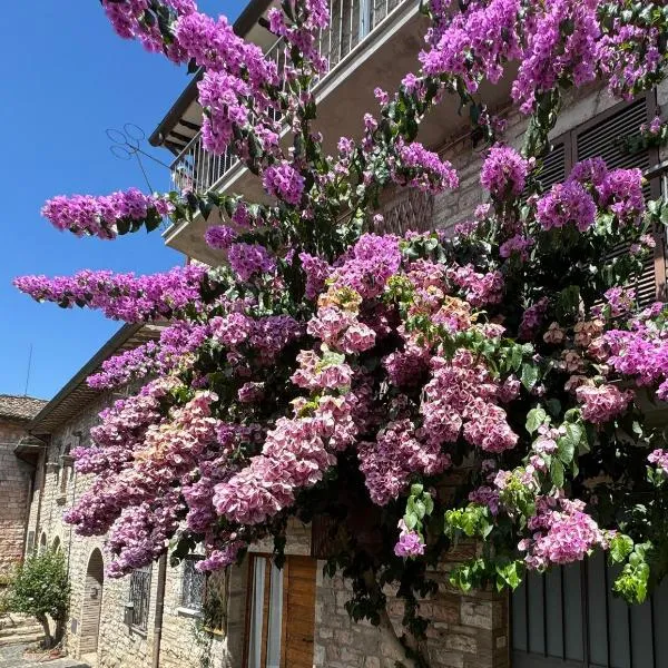 La Bouganville, hotel v destinaci Assisi