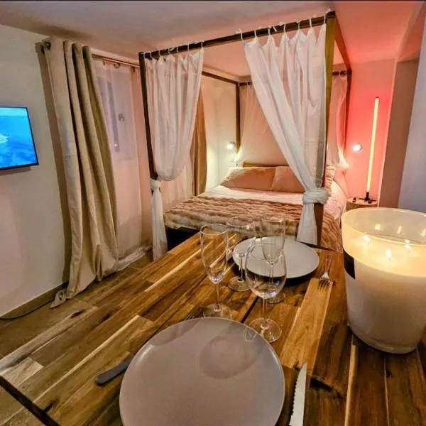 Love Room Provençale studio, hotel v destinaci Le Castellet