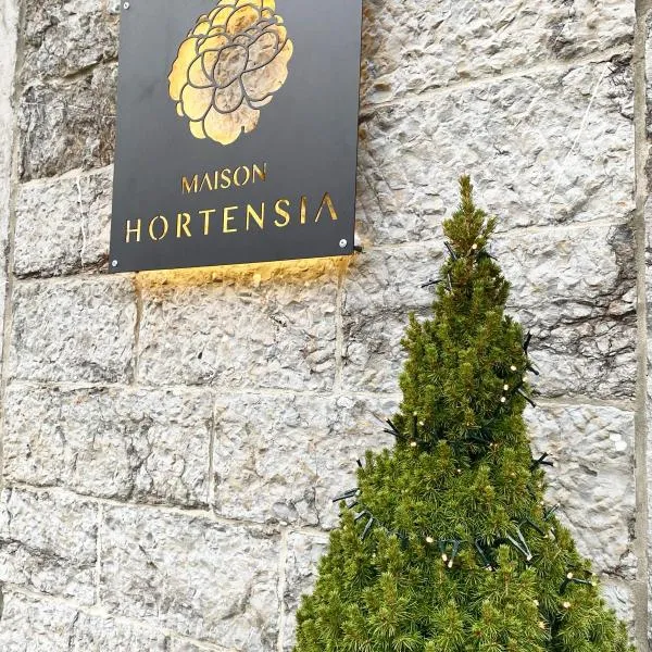 Maison Hortensia, hotel v destinaci Tellin