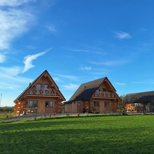 Domki Wojtasówka, hotel v destinaci Obrazów