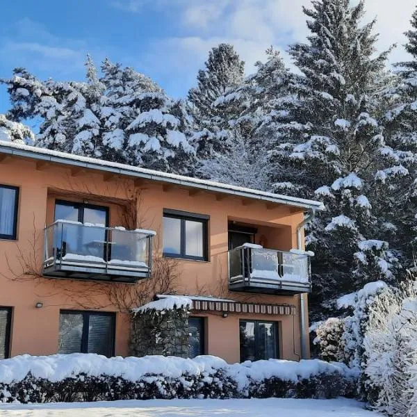 Lipno 35 - Lipno In, hotel v destinaci Lipno nad Vltavou