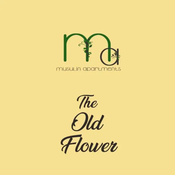 The Old Flower、ゲオルゲニのホテル