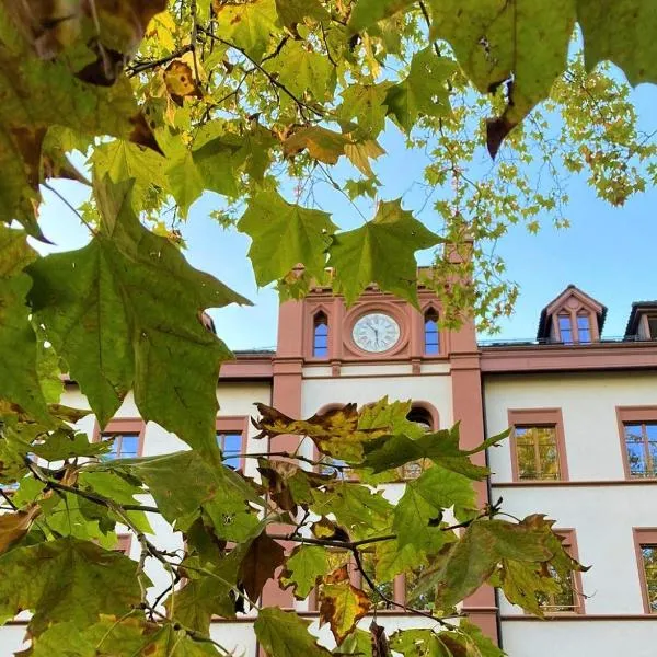 ODELYA - Stadthotel im Park, hotel v Basileji
