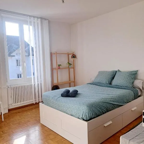 Comfortable 1 bd apt, hotel a Peseux