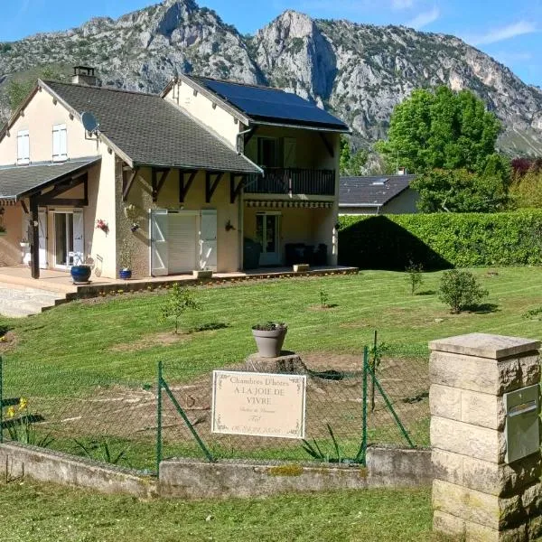 A LA JOIE DE VIVRE Chez l'habitant, hôtel à Banat