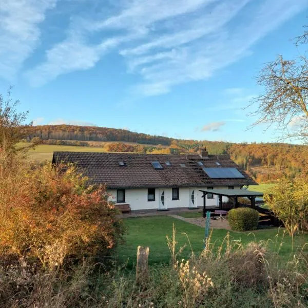 Ferienhaus Willingen Diemelsee, hotel v destinaci Diemelsee