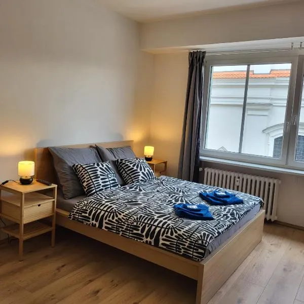 City Center Apartments - Moderna Brno Římské náměstí I, hotel v destinaci Brno