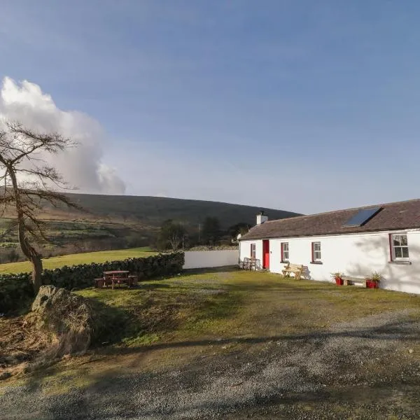 Dan White's Cottage, hotel in Newry