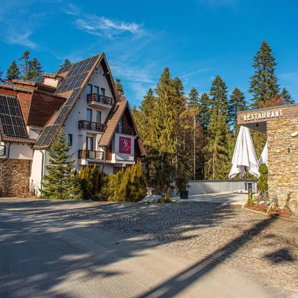 Paj Hotelul Retreat & Spa, hotel v destinaci Sinaia