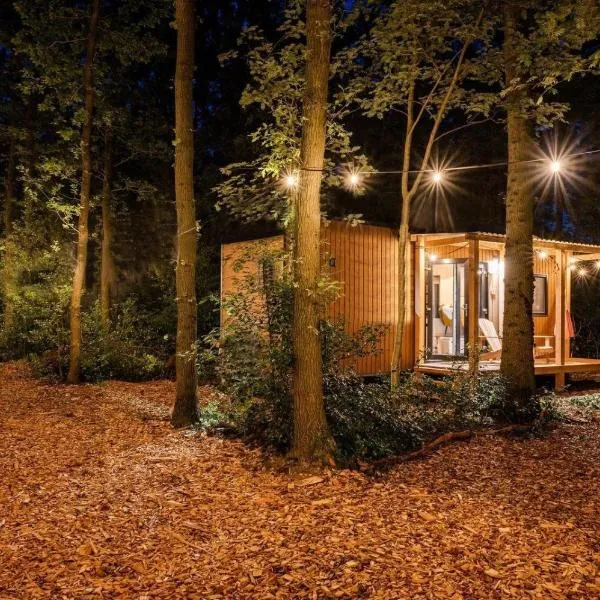 Forest Cabin in the woods, hotel v destinaci Holten