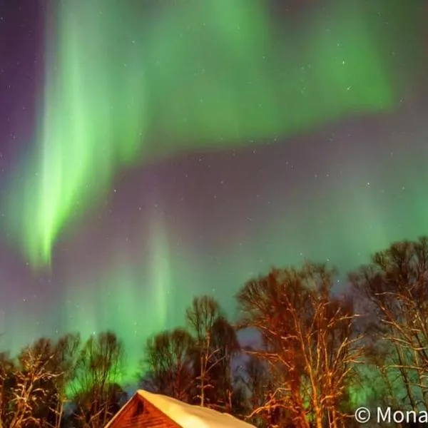Susitna River Lodging, Suites, hotel v destinaci Talkeetna