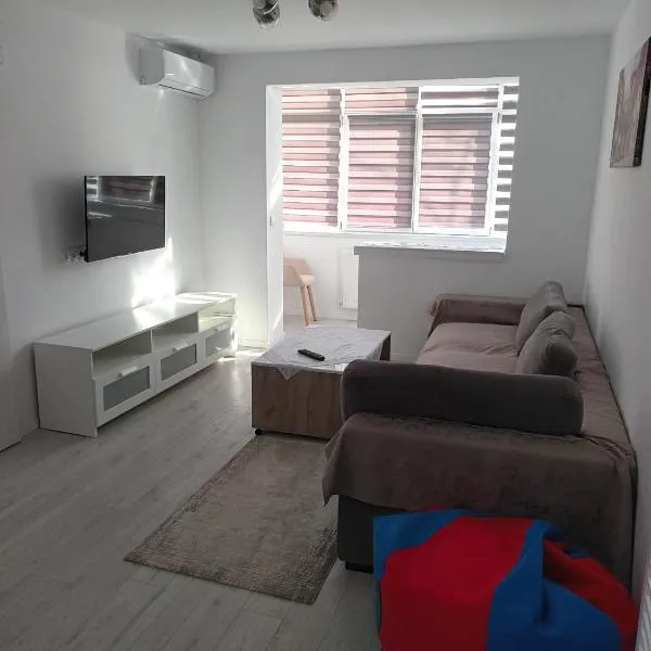 apartament de inchiriat in loc Moinesti, hotel in Lucăceşti