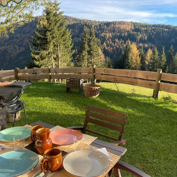 LaLo Alm - Berge erleben, hotel in Lachtal