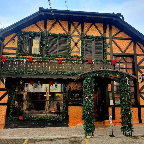 Vila Geppetto, hotel v Belehrade