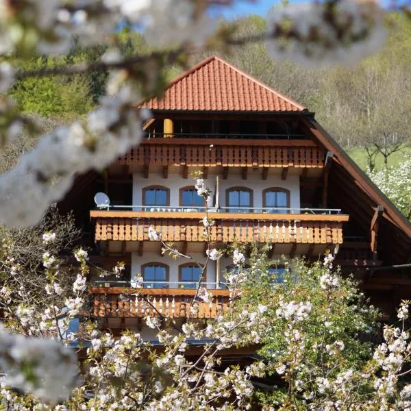 Ehrenmättlehof Faißt, hotel v destinaci Bad Peterstal-Griesbach