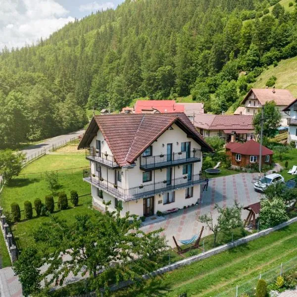 Transylvania Hut, hotel in Moieciu de Sus
