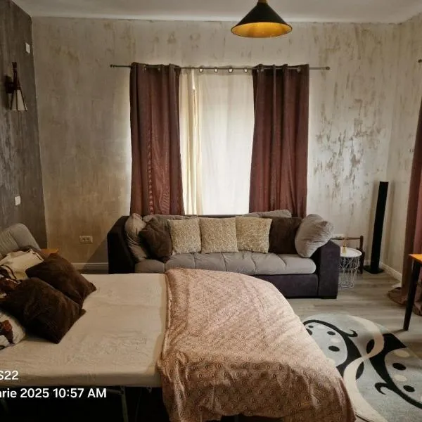 Casa Rahova, hotel v destinaci Brăila