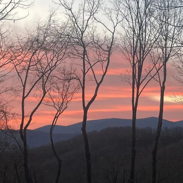Stunning Mountain View Cabin-Pet-Friendly-Quiet-Private-15 Min from town, hotel v destinaci Blue Ridge