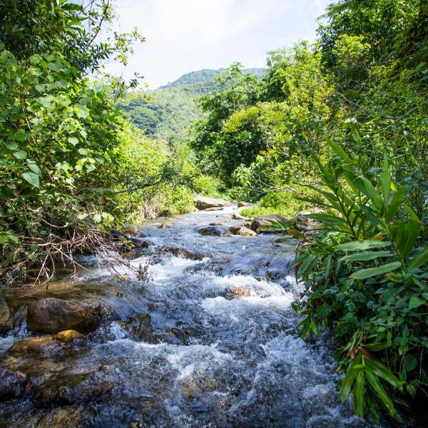 Casa ampla c piscina e churrasq em meio a natureza - Foto 2