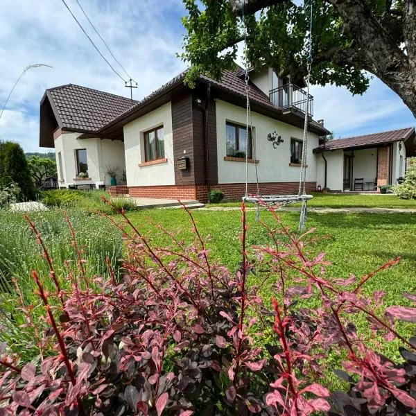 Chalet Bora, hotel in Vişeu de Jos