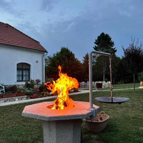 Fehér Bagoly Vendégház, hotel in Kovácsszénája