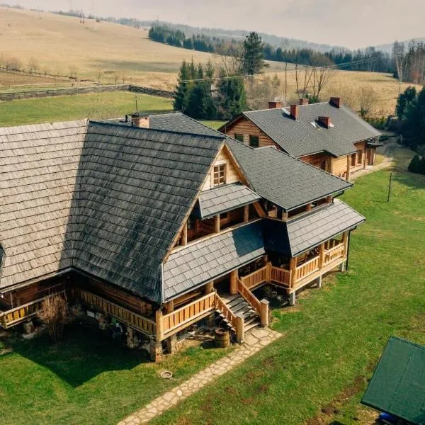 Willa Stasia, hotel di Ustrzyki Dolne