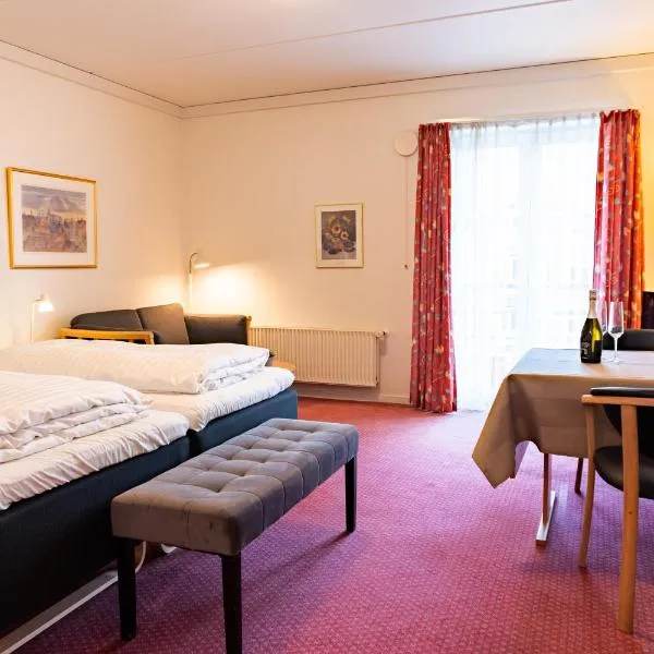 Palads Hotel, hotel v destinaci Viborg