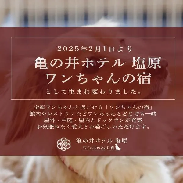 亀の井ホテル 塩原 ワンちゃんの宿、那須塩原市のホテル