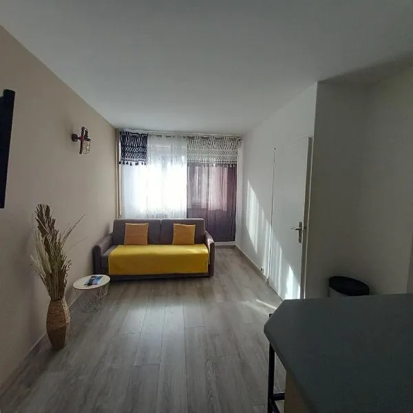 Appartement avec une petite place de parking, centre ville, proche gares, hotel v Annecy