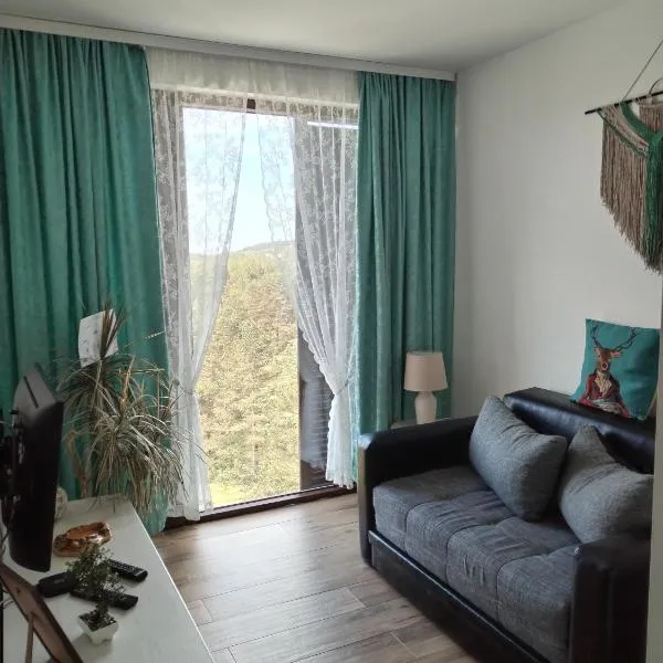 Cobanica Borovi Divcibare, hotel in Divčibare