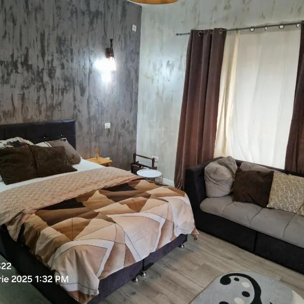 Casa Rahova, hotel di Brăila